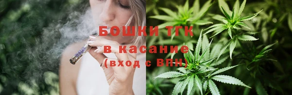 индика Арсеньев