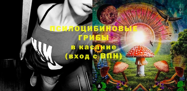 индика Арсеньев