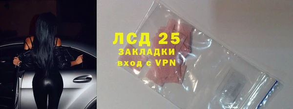 ГАЛЛЮЦИНОГЕННЫЕ ГРИБЫ Пестово