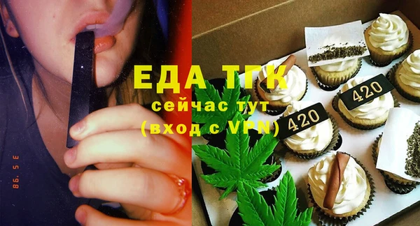 индика Арсеньев