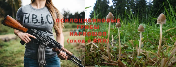 индика Арсеньев