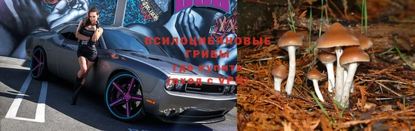 марки lsd Пересвет