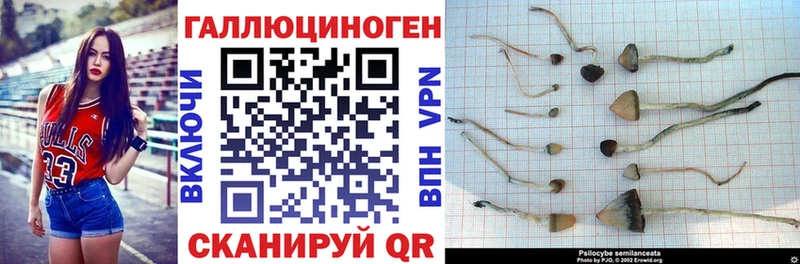 Галлюциногенные грибы мухоморы  Тейково 